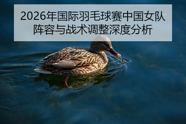 2026年国际羽毛球赛中国女队阵容与战术调整深度分析