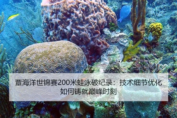 覃海洋世锦赛200米蛙泳破纪录：技术细节优化如何铸就巅峰时刻