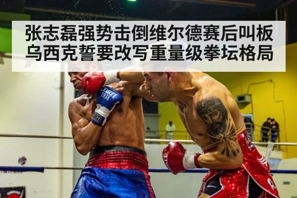 张志磊强势击倒维尔德赛后叫板乌西克誓要改写重量级拳坛格局