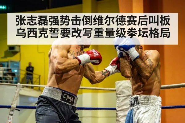 heavyweight boxing fight